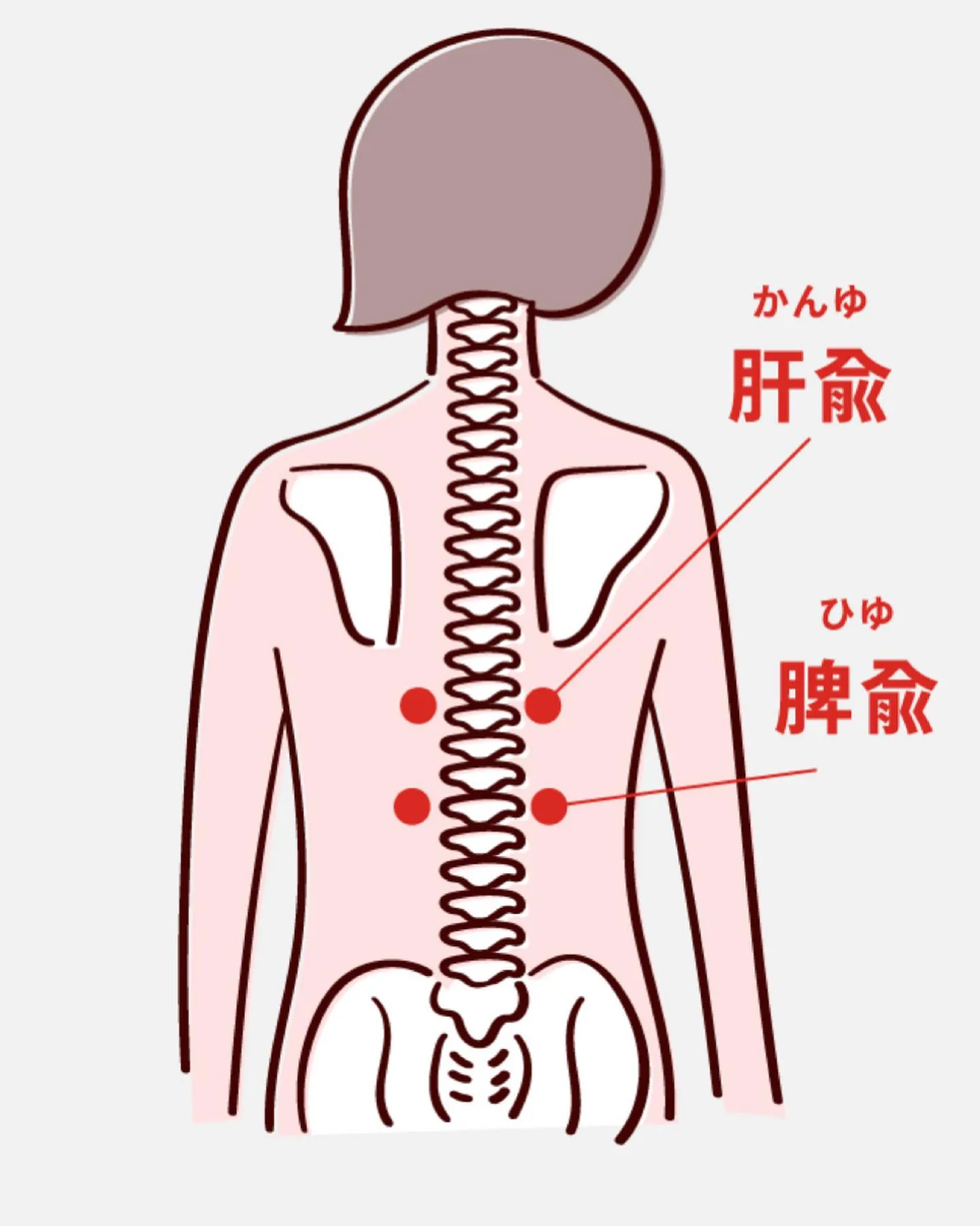 【姿勢改善/久留米サザン整骨院】