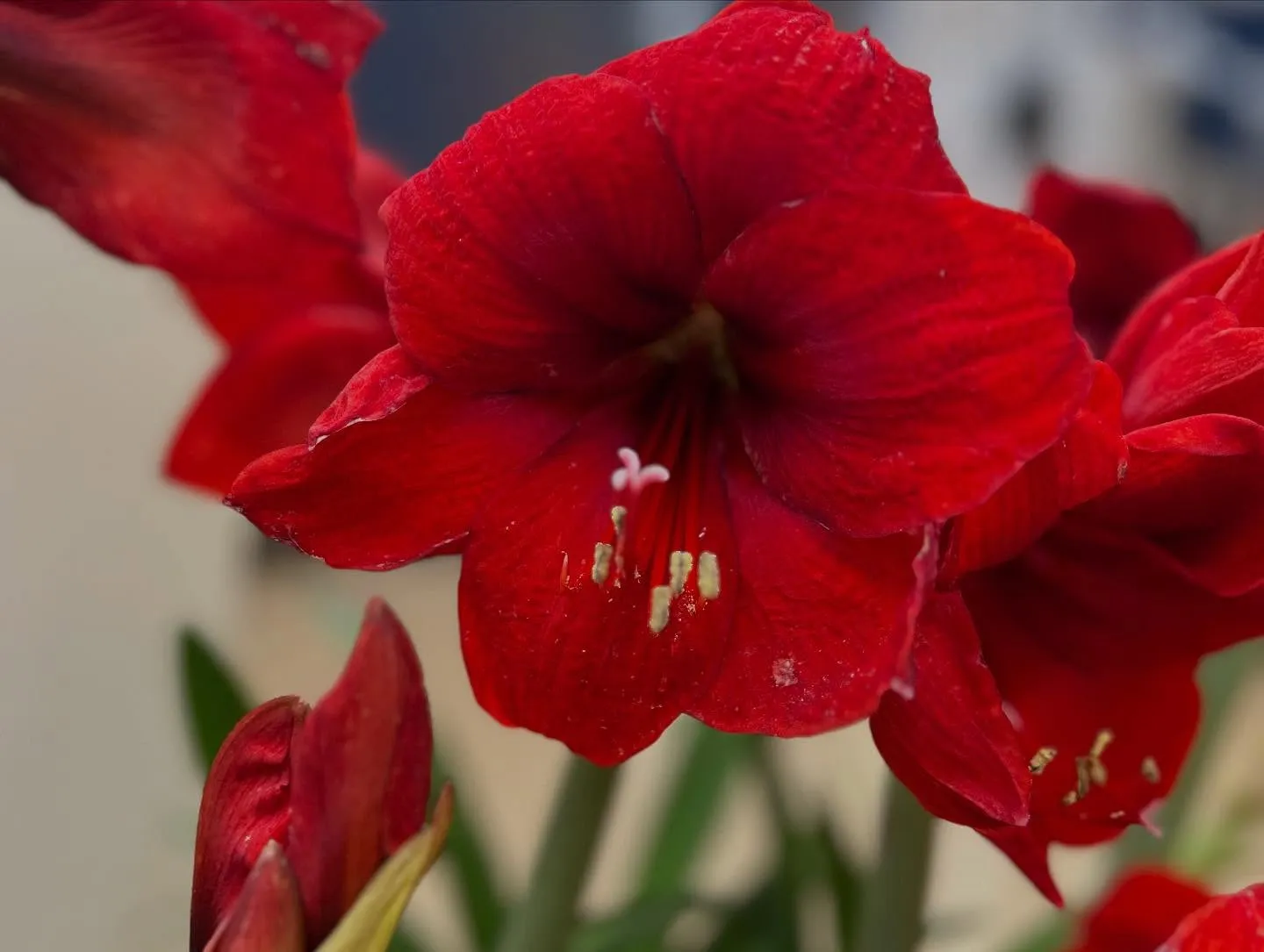 【肩こり腰痛治療するなら久留米市サザン整骨院☝️】