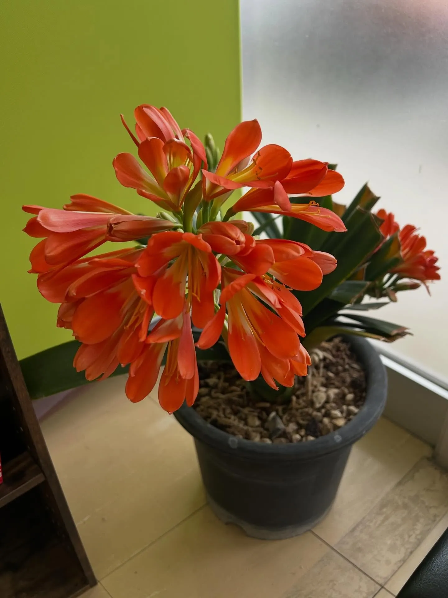 【肩こり腰痛は久留米市サザン整骨院☝️】